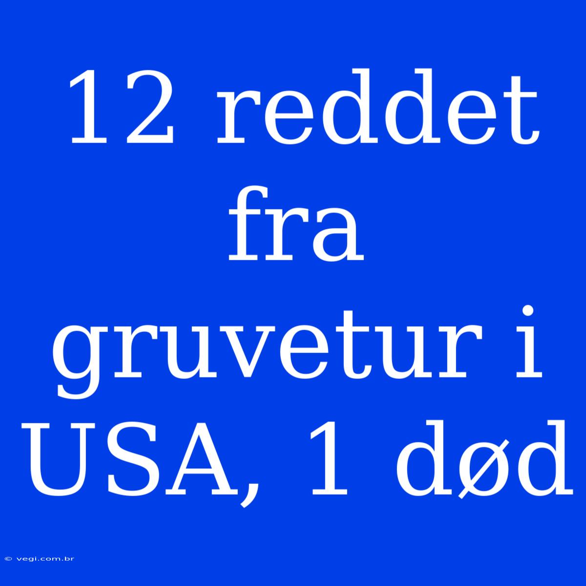 12 Reddet Fra Gruvetur I USA, 1 Død