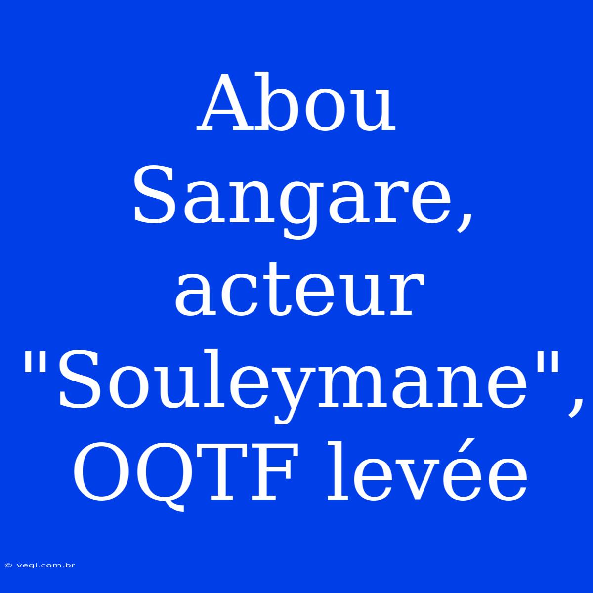 Abou Sangare, Acteur 