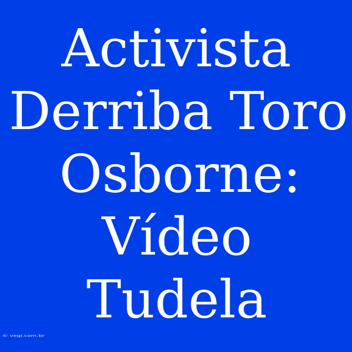 Activista Derriba Toro Osborne: Vídeo Tudela