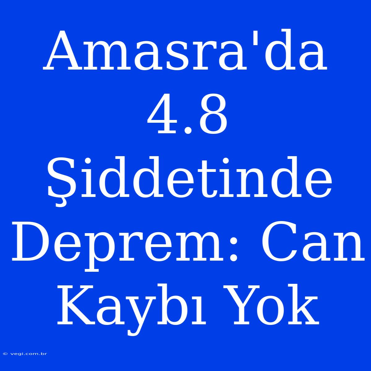 Amasra'da 4.8 Şiddetinde Deprem: Can Kaybı Yok