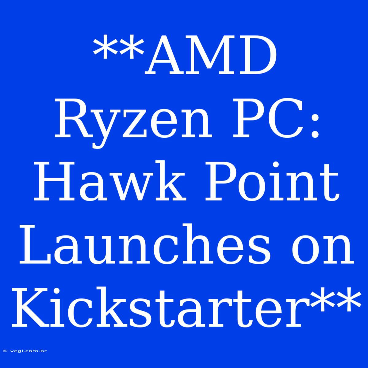 **AMD Ryzen PC: Hawk Point Launches On Kickstarter**