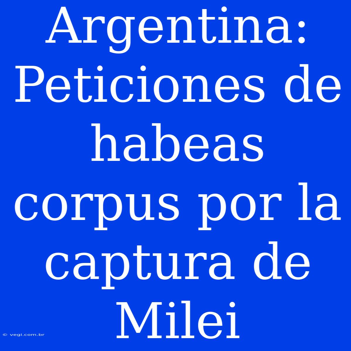 Argentina: Peticiones De Habeas Corpus Por La Captura De Milei