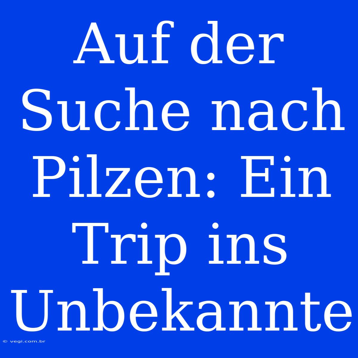 Auf Der Suche Nach Pilzen: Ein Trip Ins Unbekannte