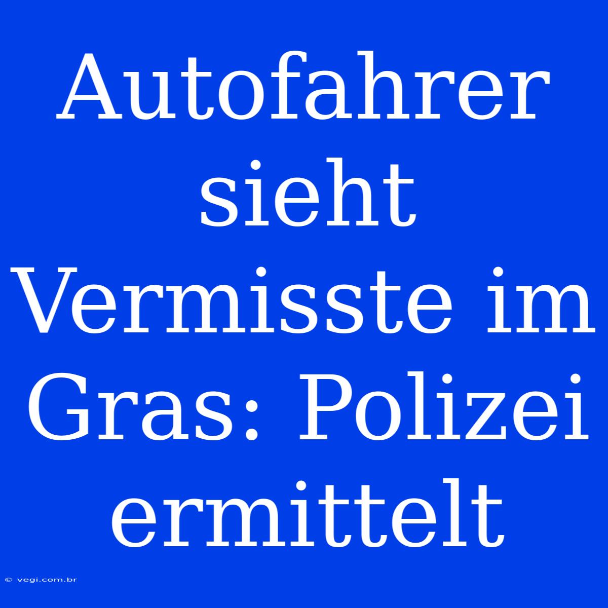 Autofahrer Sieht Vermisste Im Gras: Polizei Ermittelt