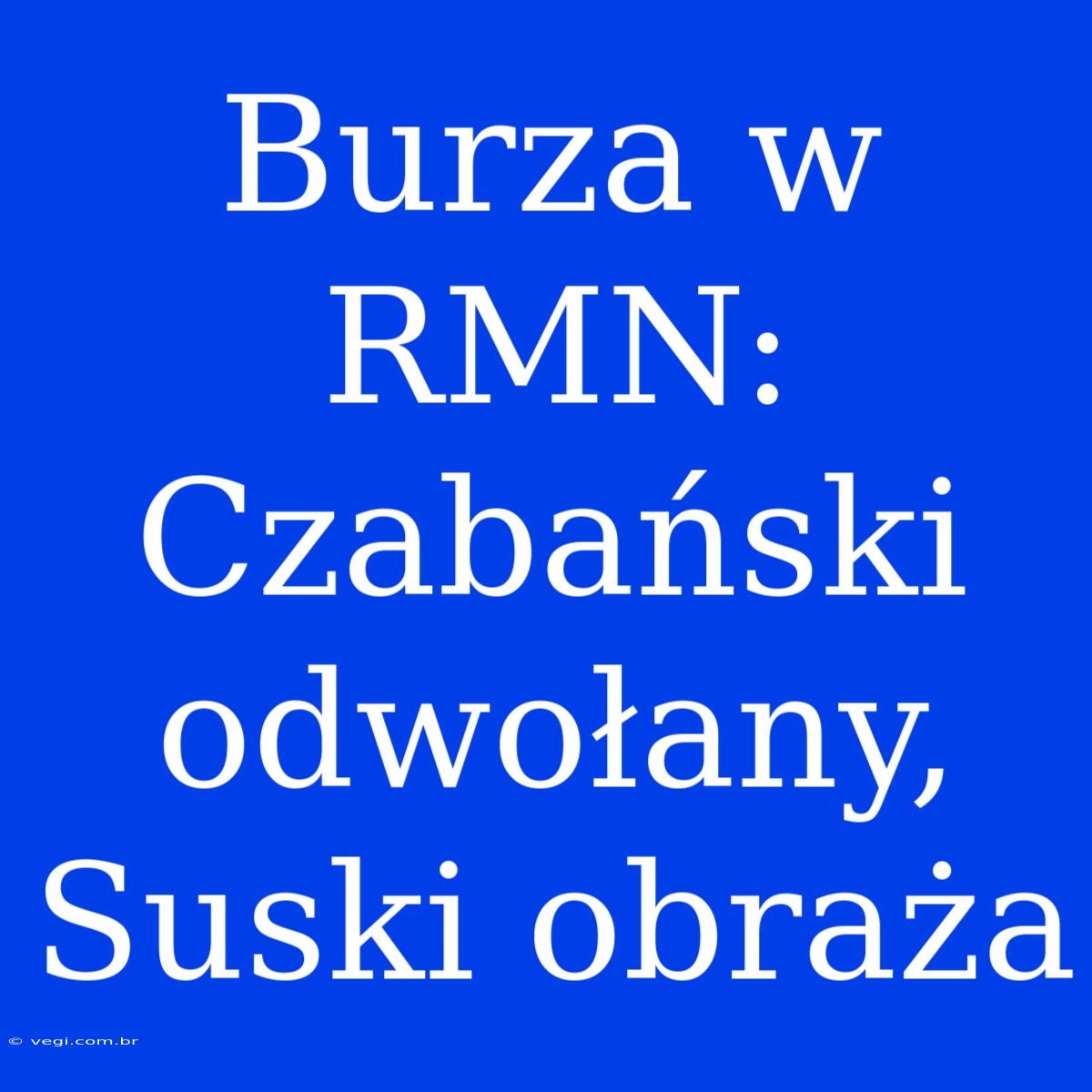 Burza W RMN: Czabański Odwołany, Suski Obraża