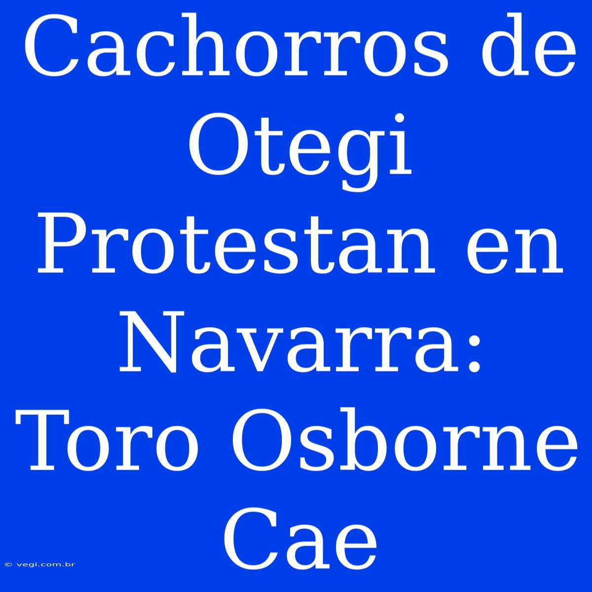 Cachorros De Otegi Protestan En Navarra: Toro Osborne Cae