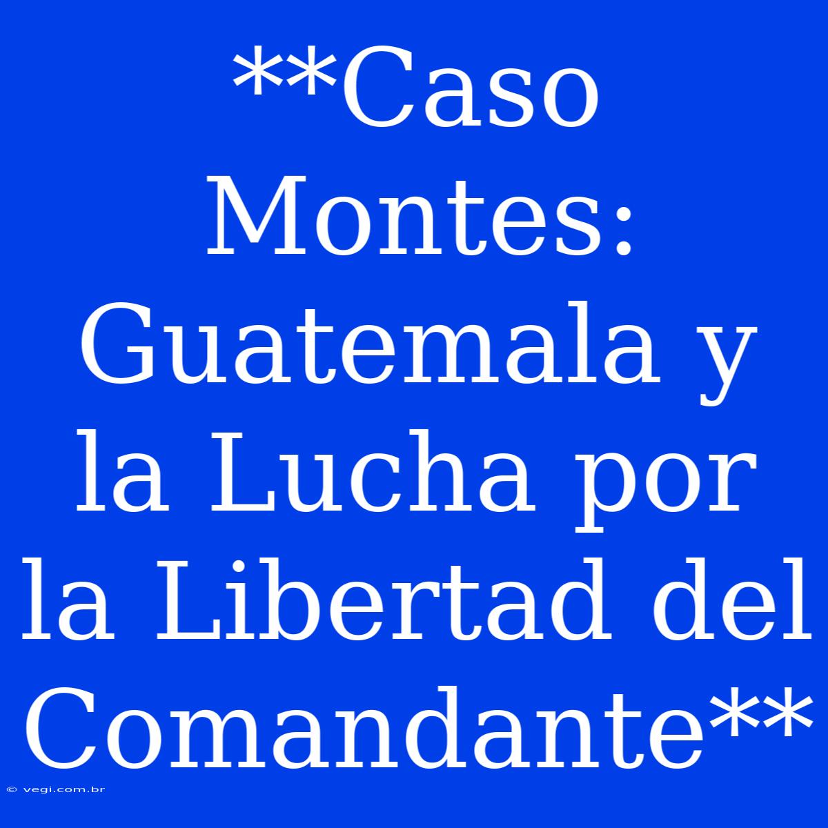 **Caso Montes: Guatemala Y La Lucha Por La Libertad Del Comandante**