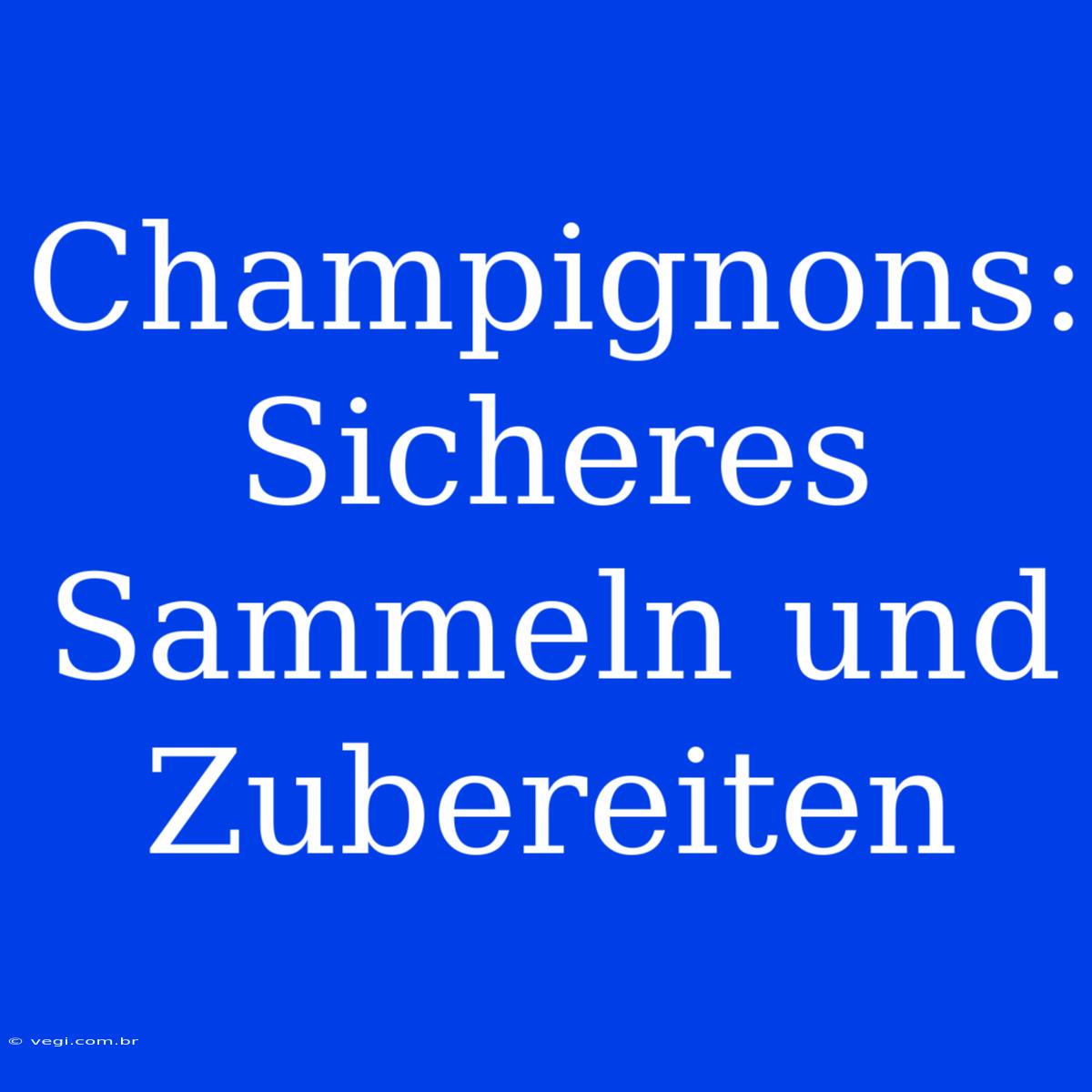 Champignons: Sicheres Sammeln Und Zubereiten 