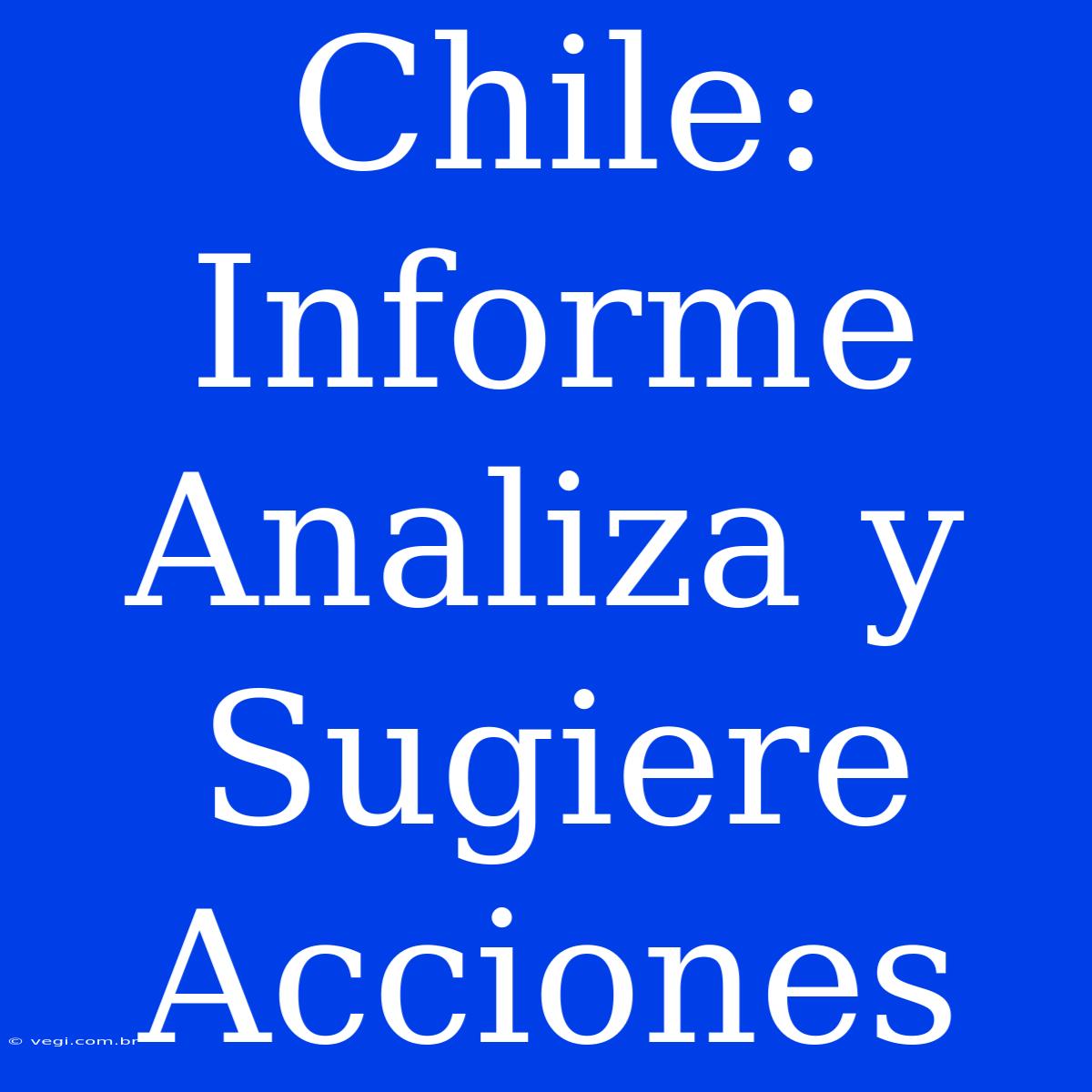 Chile: Informe Analiza Y Sugiere Acciones 