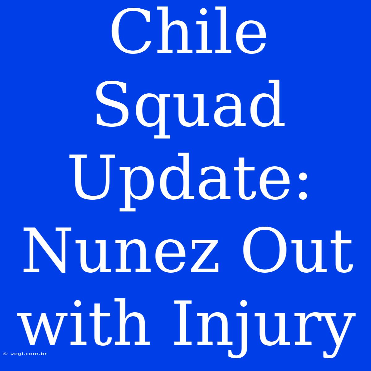 Chile Squad Update: Nunez Out With Injury