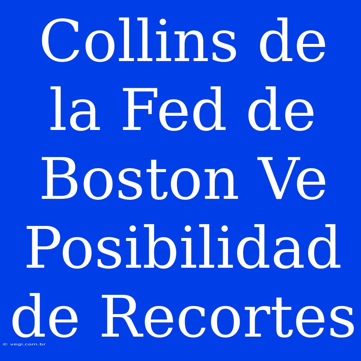 Collins De La Fed De Boston Ve Posibilidad De Recortes