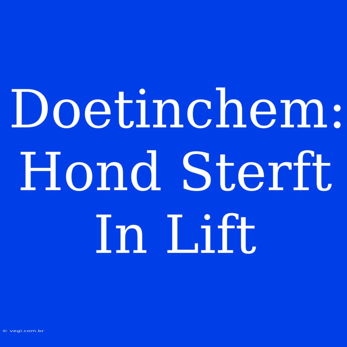 Doetinchem: Hond Sterft In Lift