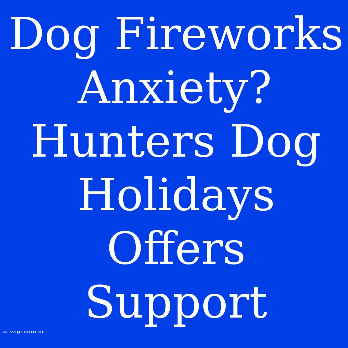 Dog Fireworks Anxiety? Hunters Dog Holidays Offers Support