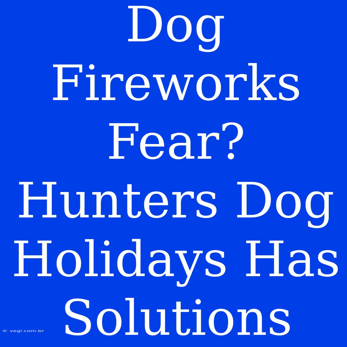 Dog Fireworks Fear? Hunters Dog Holidays Has Solutions 