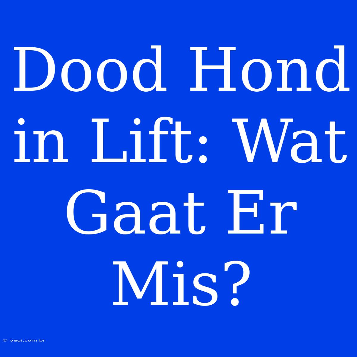 Dood Hond In Lift: Wat Gaat Er Mis?