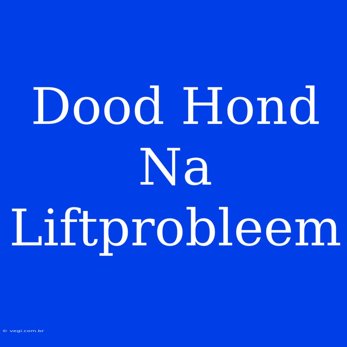 Dood Hond Na Liftprobleem