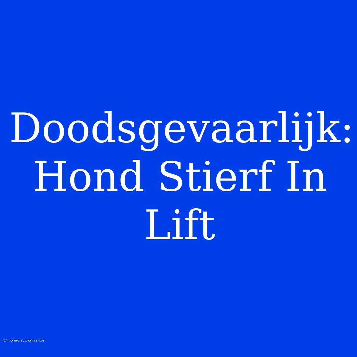 Doodsgevaarlijk: Hond Stierf In Lift