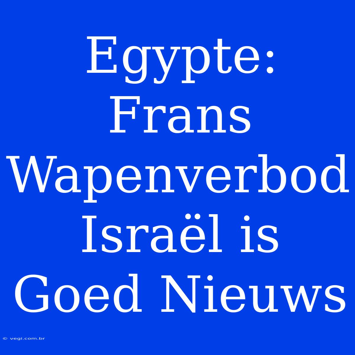 Egypte: Frans Wapenverbod Israël Is Goed Nieuws