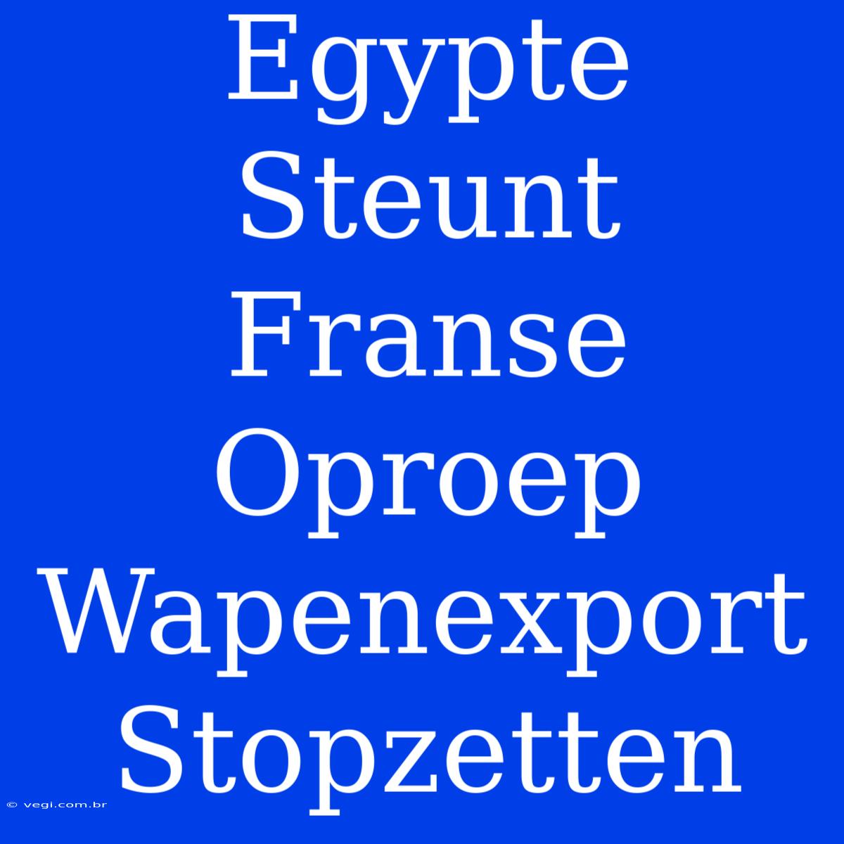 Egypte Steunt Franse Oproep Wapenexport Stopzetten