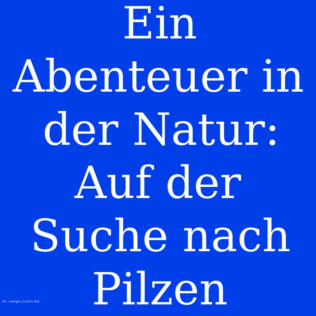 Ein Abenteuer In Der Natur: Auf Der Suche Nach Pilzen