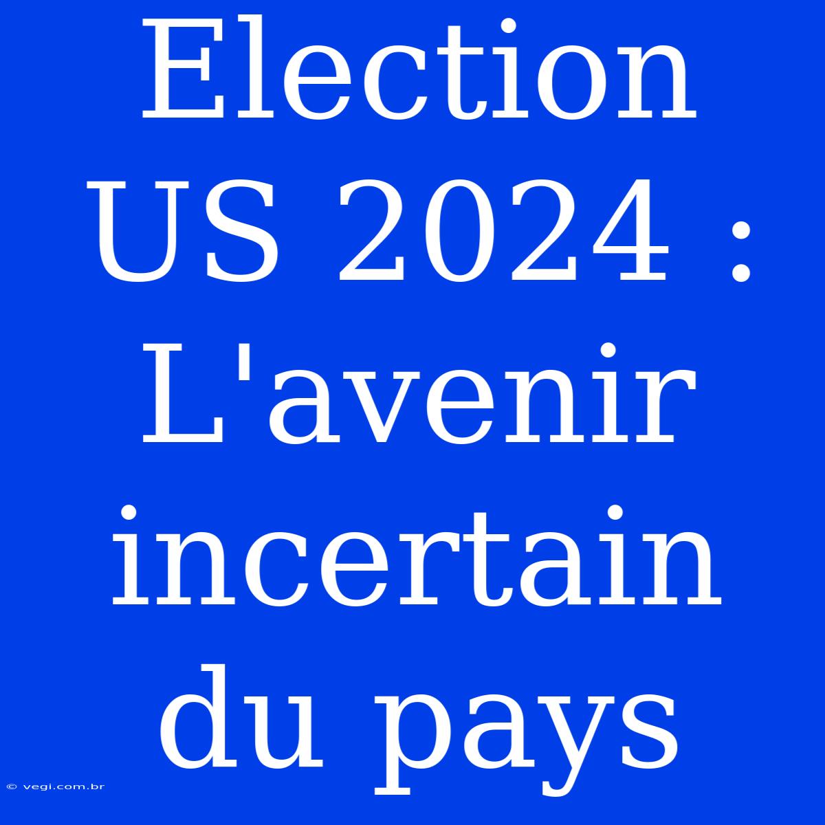 Election US 2024 : L'avenir Incertain Du Pays 