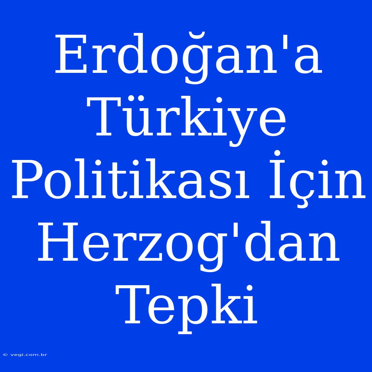 Erdoğan'a Türkiye Politikası İçin Herzog'dan Tepki