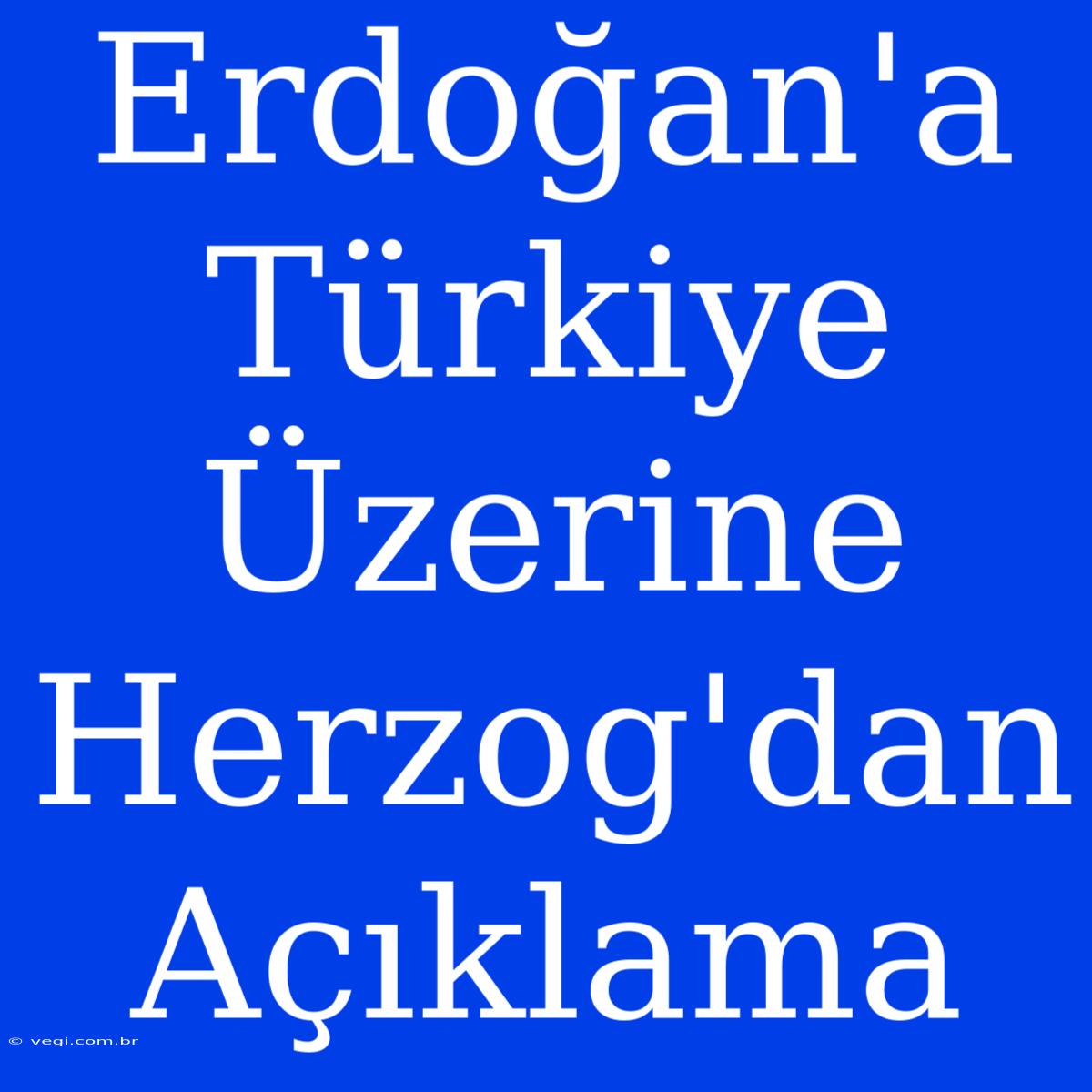 Erdoğan'a Türkiye Üzerine Herzog'dan Açıklama