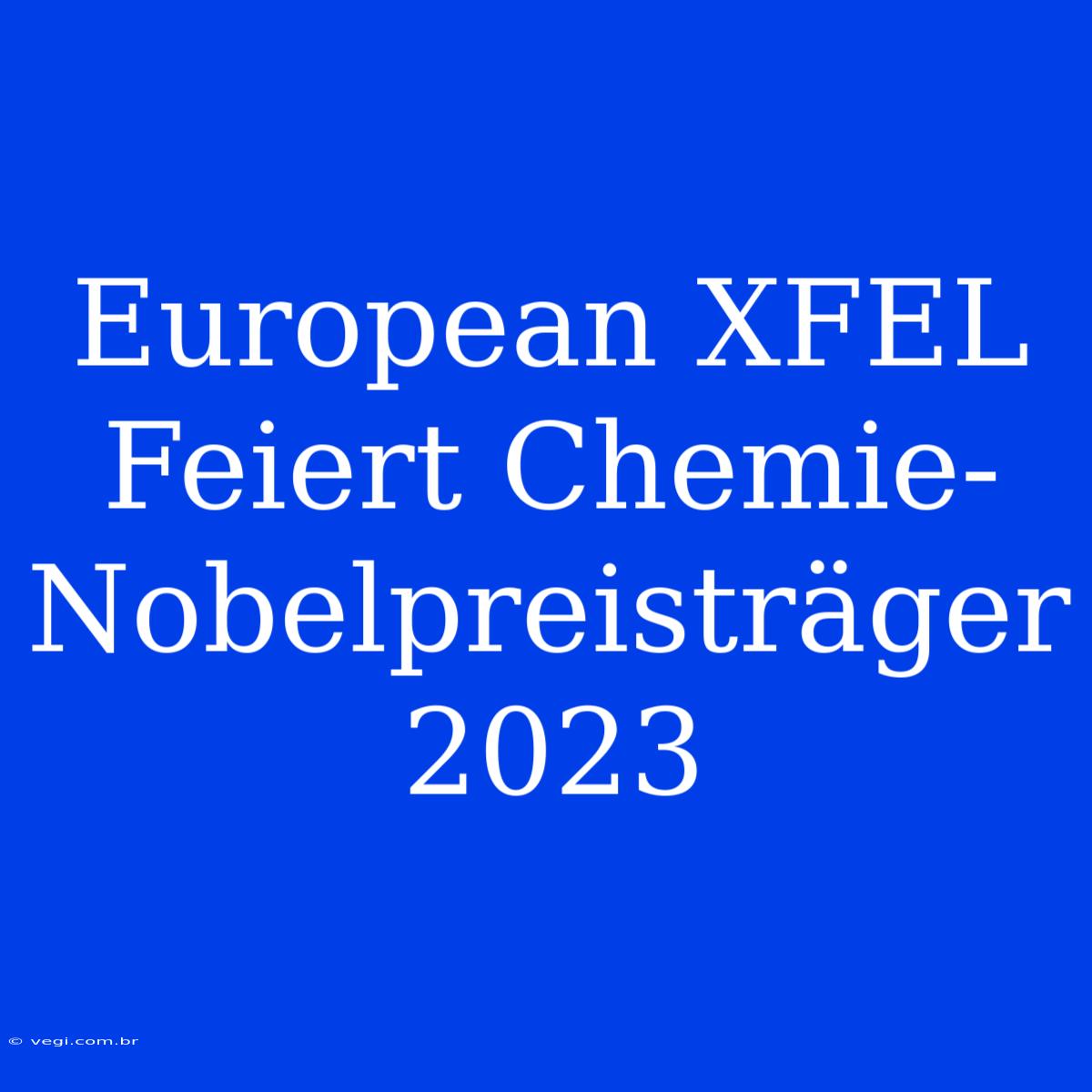 European XFEL Feiert Chemie-Nobelpreisträger 2023