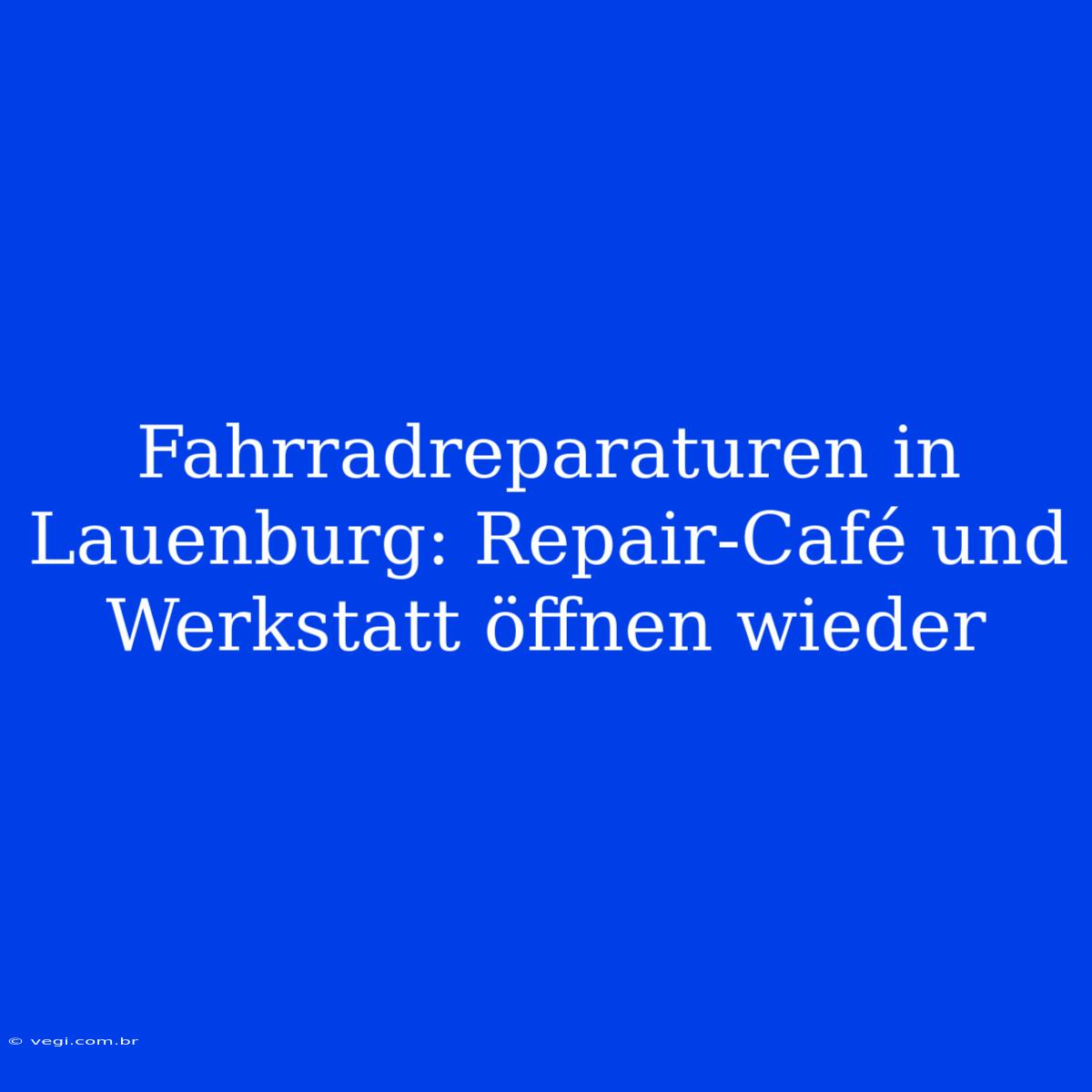 Fahrradreparaturen In Lauenburg: Repair-Café Und Werkstatt Öffnen Wieder 