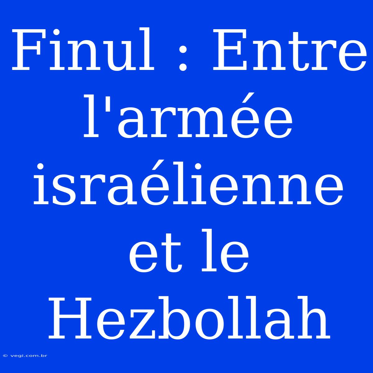 Finul : Entre L'armée Israélienne Et Le Hezbollah