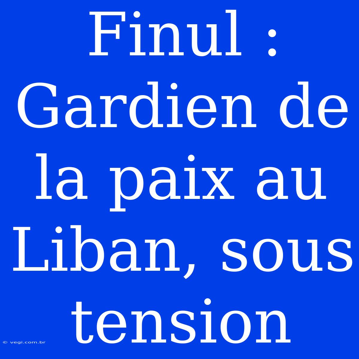 Finul : Gardien De La Paix Au Liban, Sous Tension