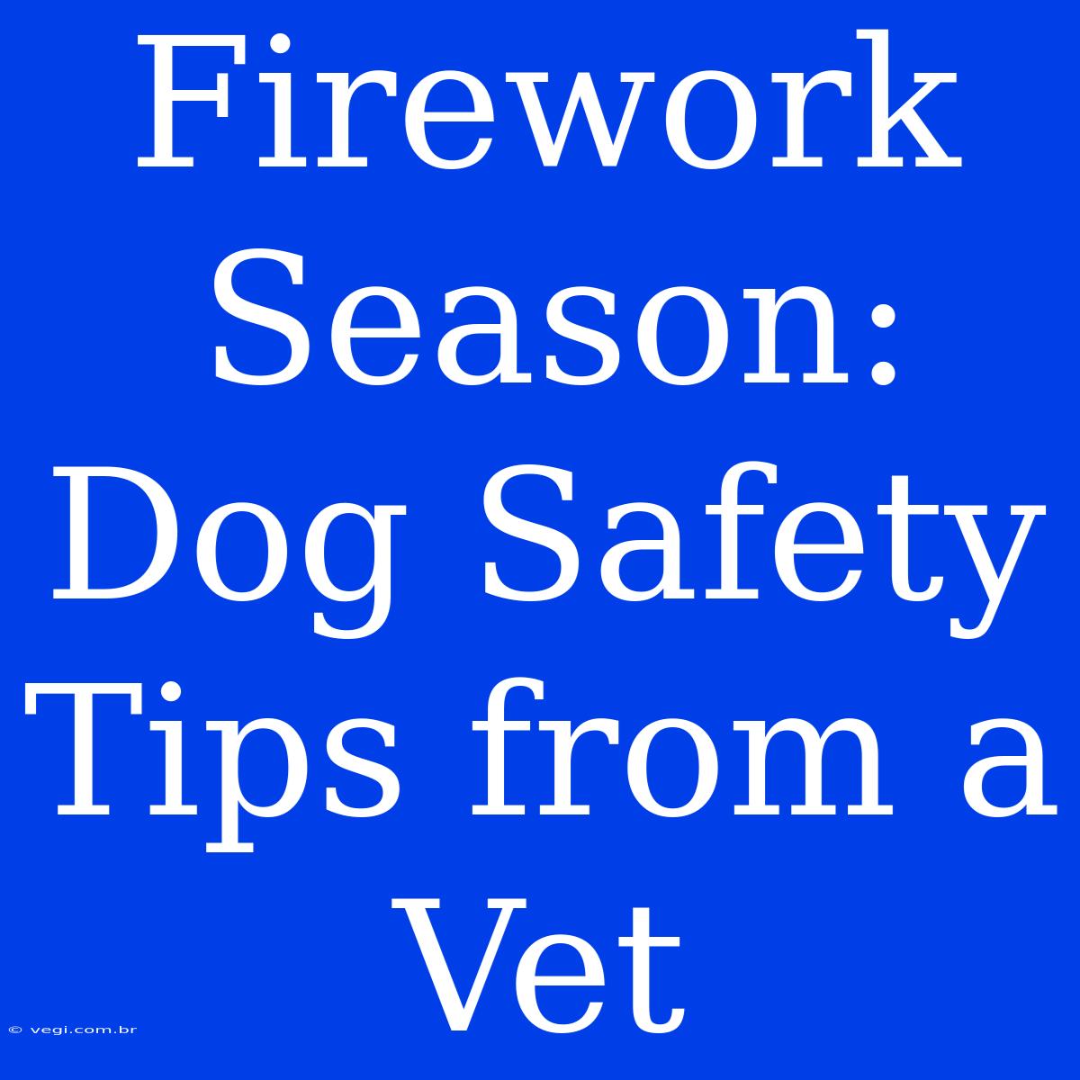 Firework Season: Dog Safety Tips From A Vet