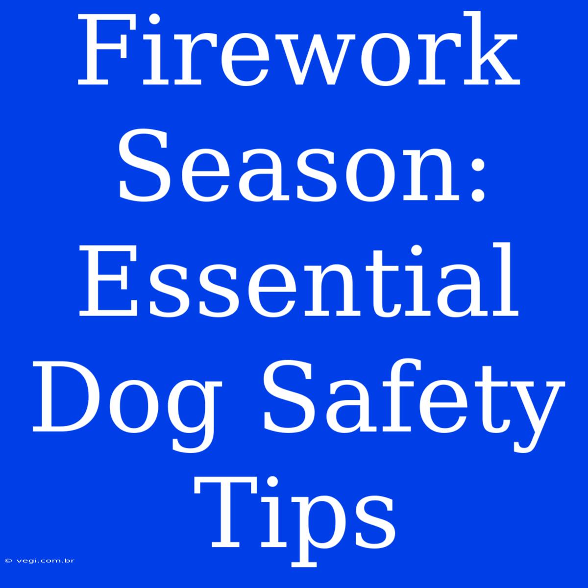 Firework Season: Essential Dog Safety Tips