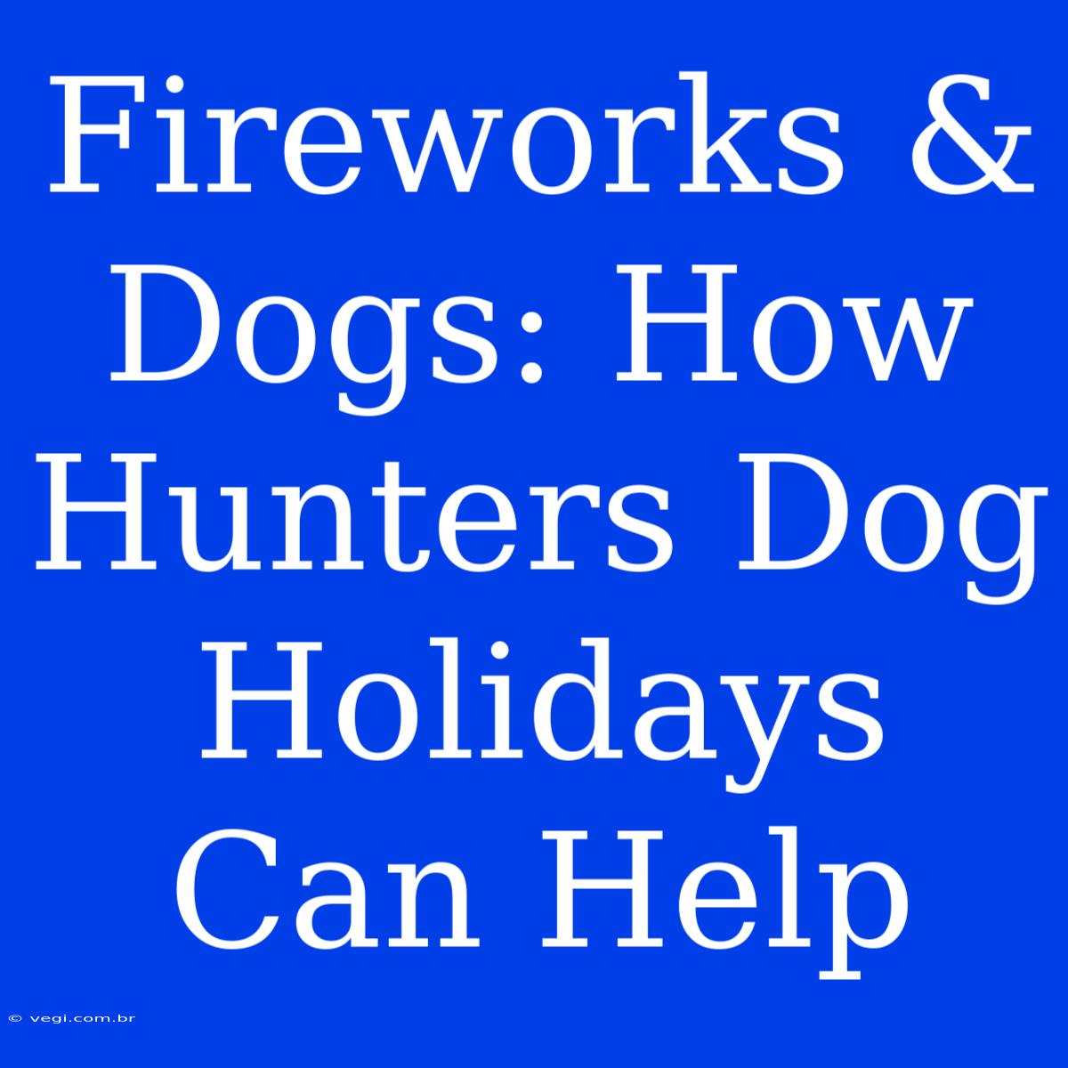 Fireworks & Dogs: How Hunters Dog Holidays Can Help 