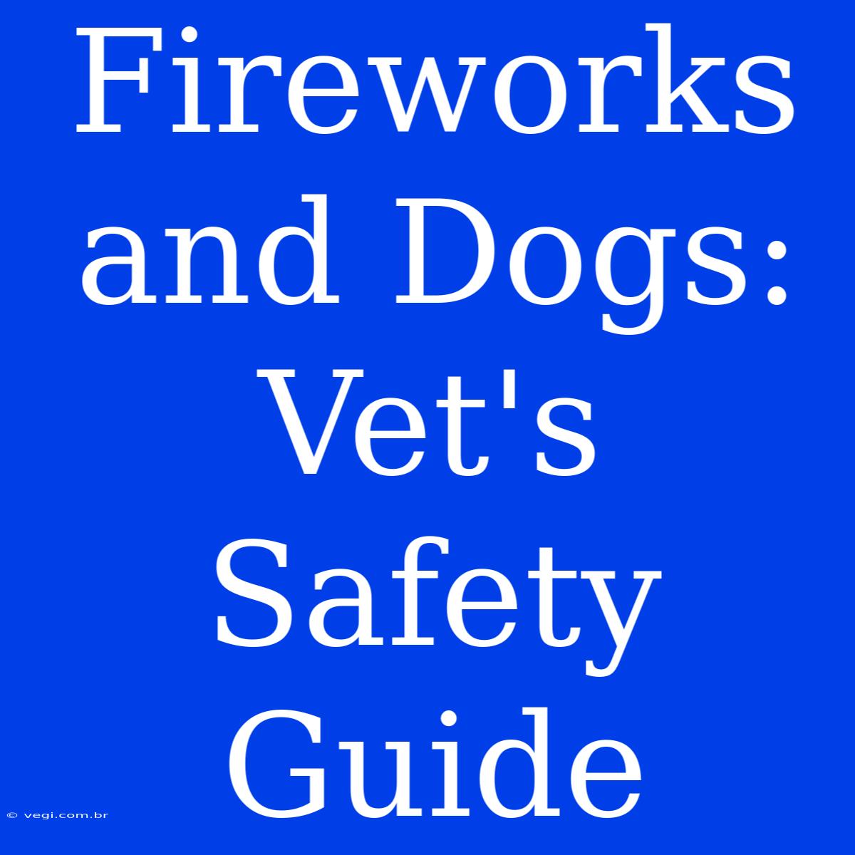 Fireworks And Dogs: Vet's Safety Guide