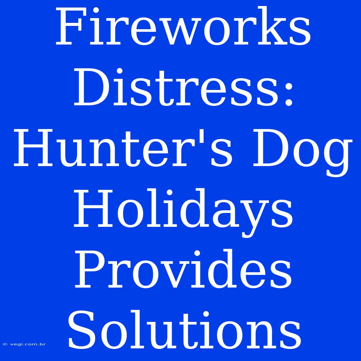 Fireworks Distress: Hunter's Dog Holidays Provides Solutions