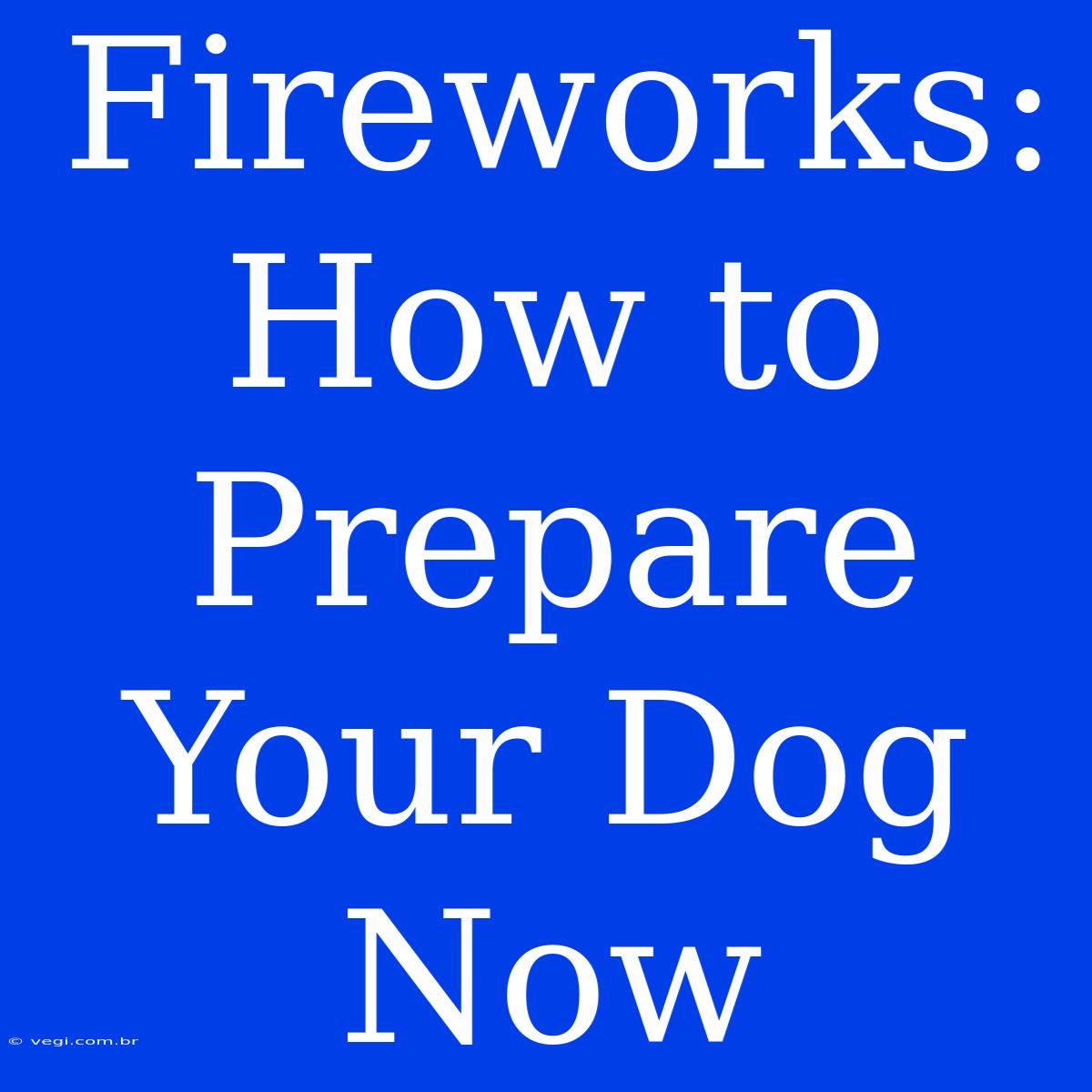 Fireworks: How To Prepare Your Dog Now