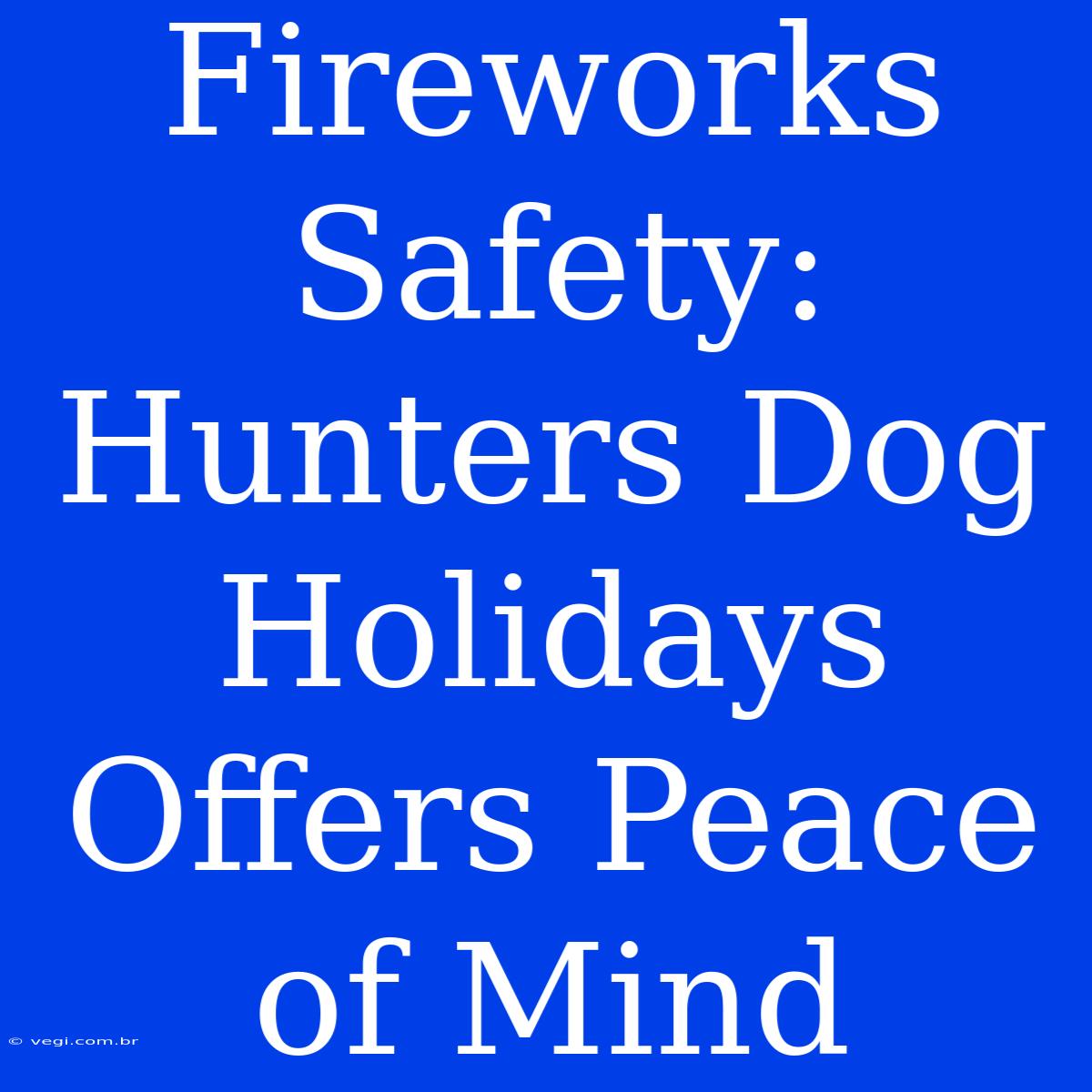 Fireworks Safety: Hunters Dog Holidays Offers Peace Of Mind