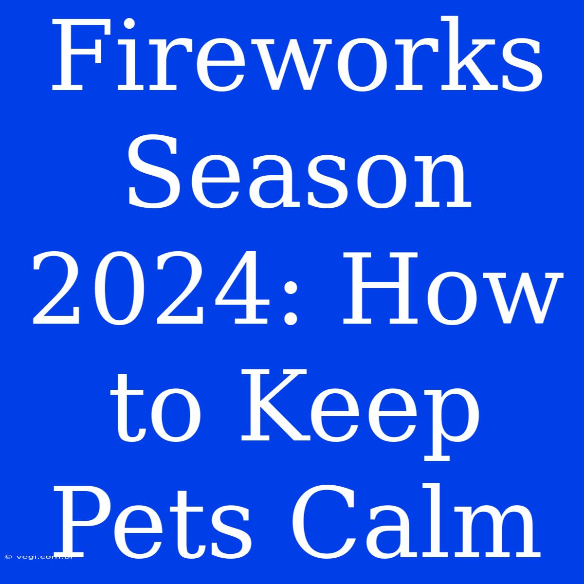 Fireworks Season 2024: How To Keep Pets Calm