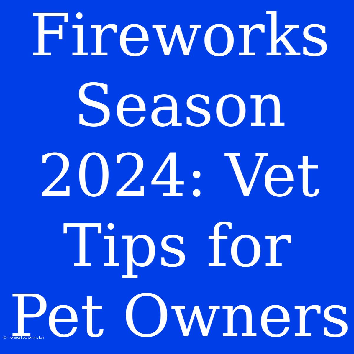 Fireworks Season 2024: Vet Tips For Pet Owners