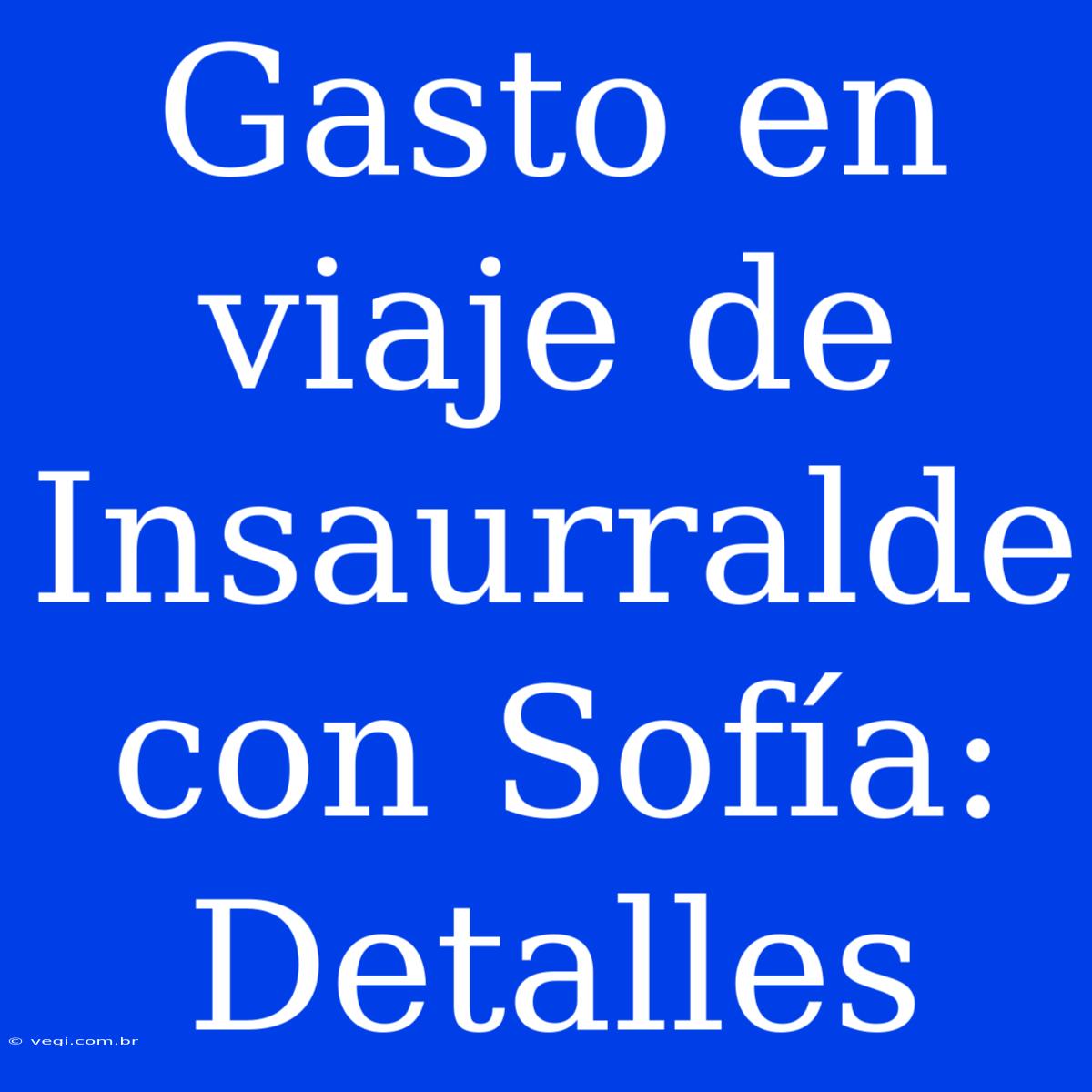 Gasto En Viaje De Insaurralde Con Sofía: Detalles