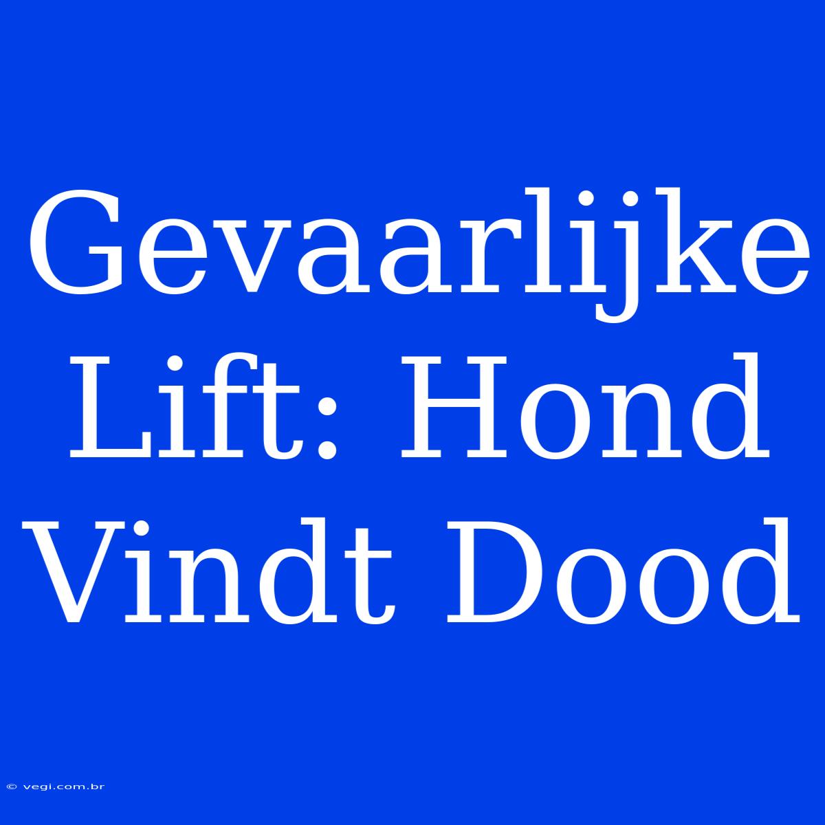 Gevaarlijke Lift: Hond Vindt Dood