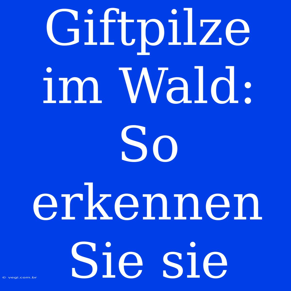 Giftpilze Im Wald: So Erkennen Sie Sie