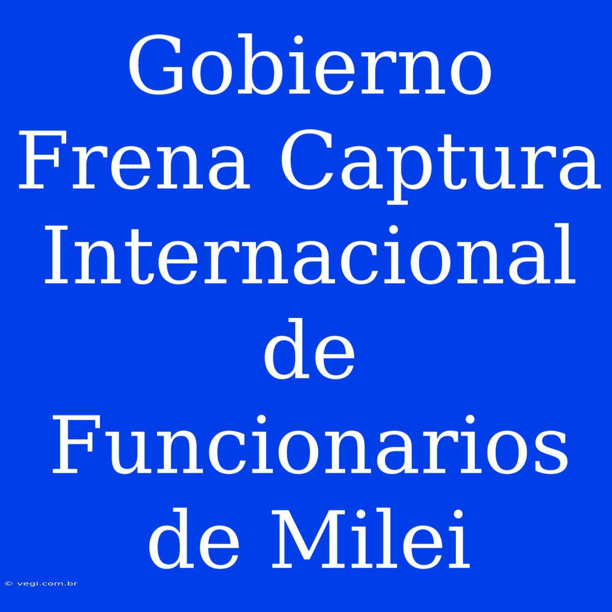 Gobierno Frena Captura Internacional De Funcionarios De Milei