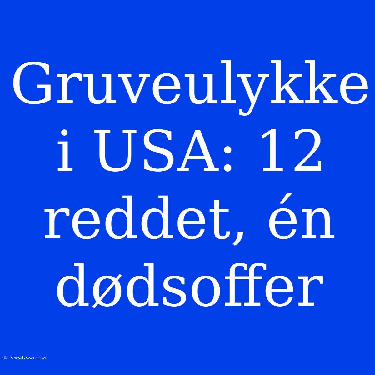 Gruveulykke I USA: 12 Reddet, Én Dødsoffer