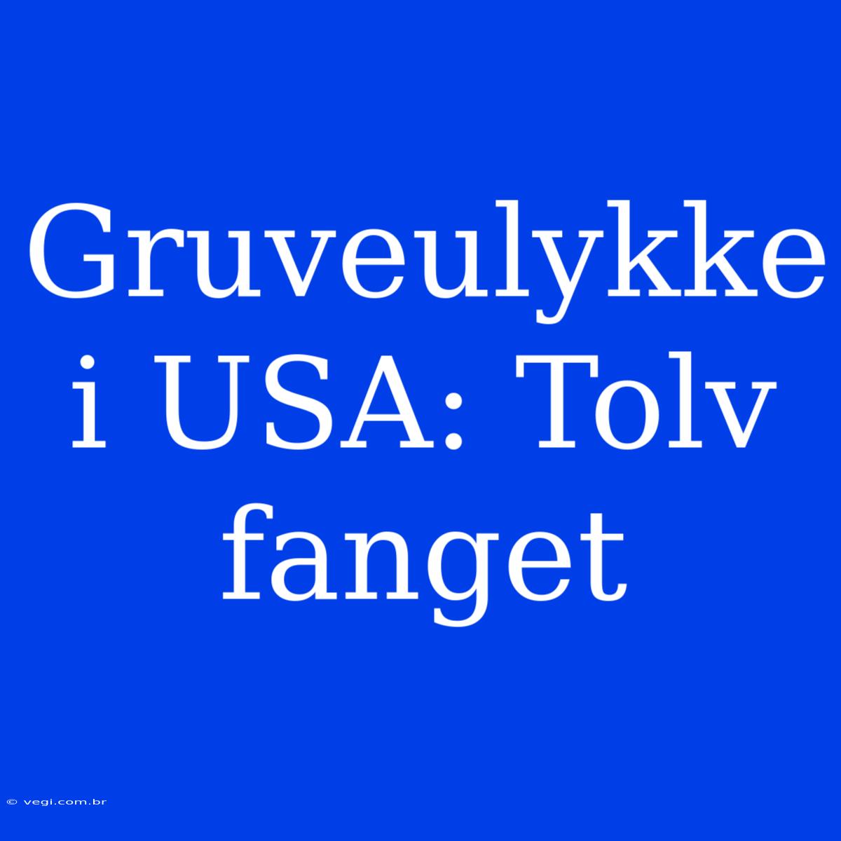 Gruveulykke I USA: Tolv Fanget