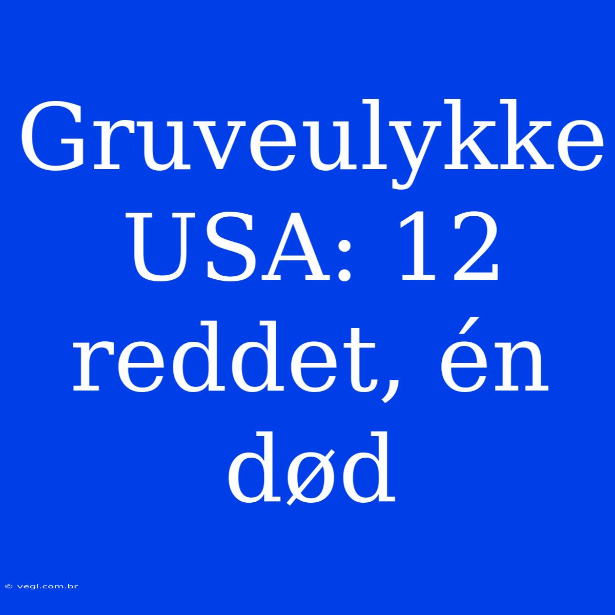 Gruveulykke USA: 12 Reddet, Én Død