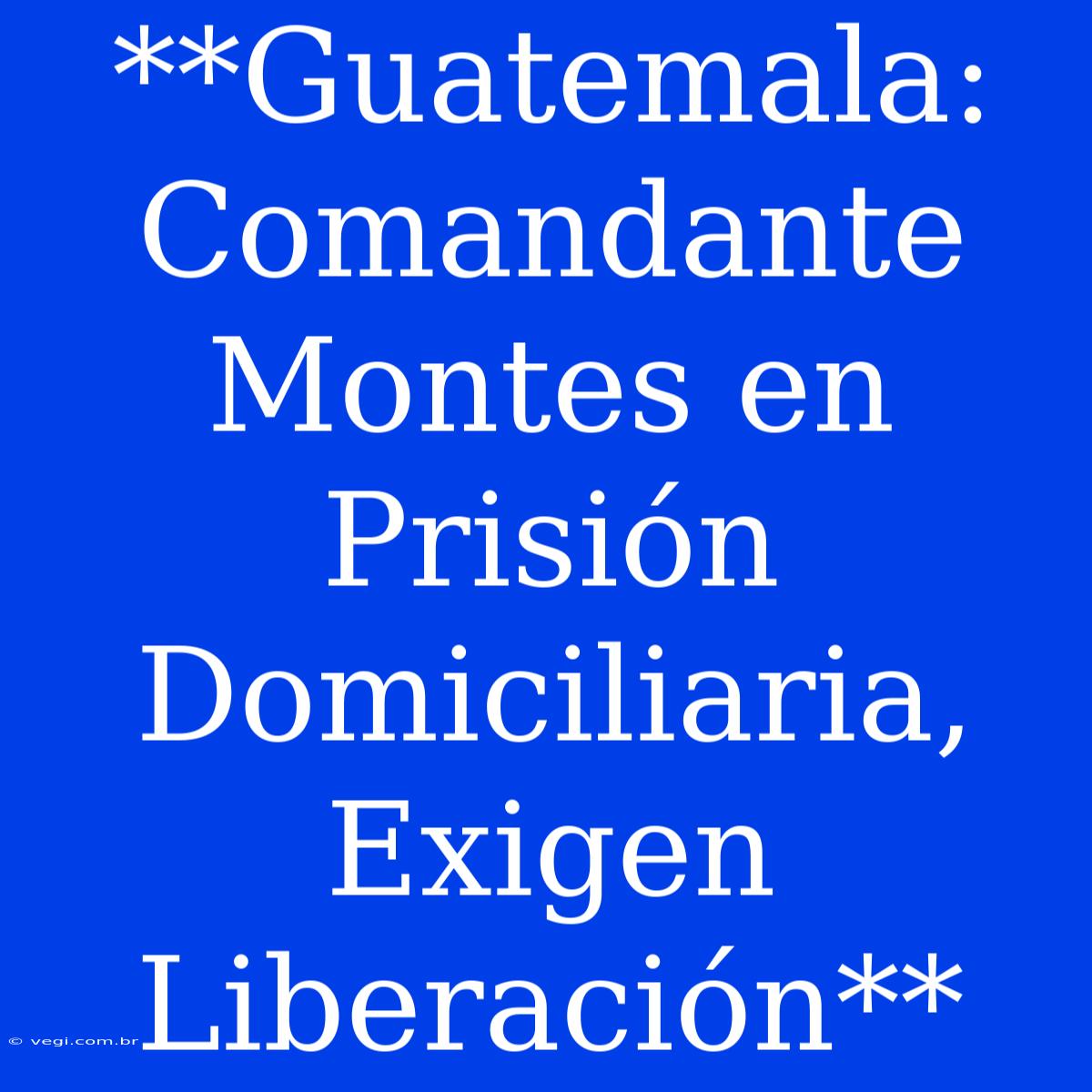 **Guatemala: Comandante Montes En Prisión Domiciliaria, Exigen Liberación**