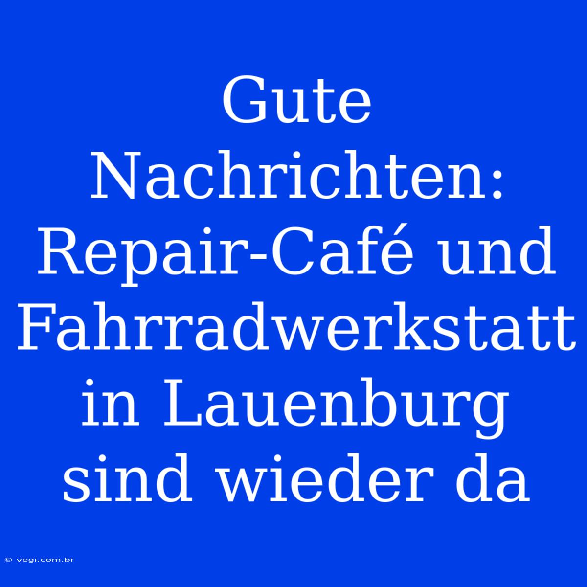 Gute Nachrichten: Repair-Café Und Fahrradwerkstatt In Lauenburg Sind Wieder Da