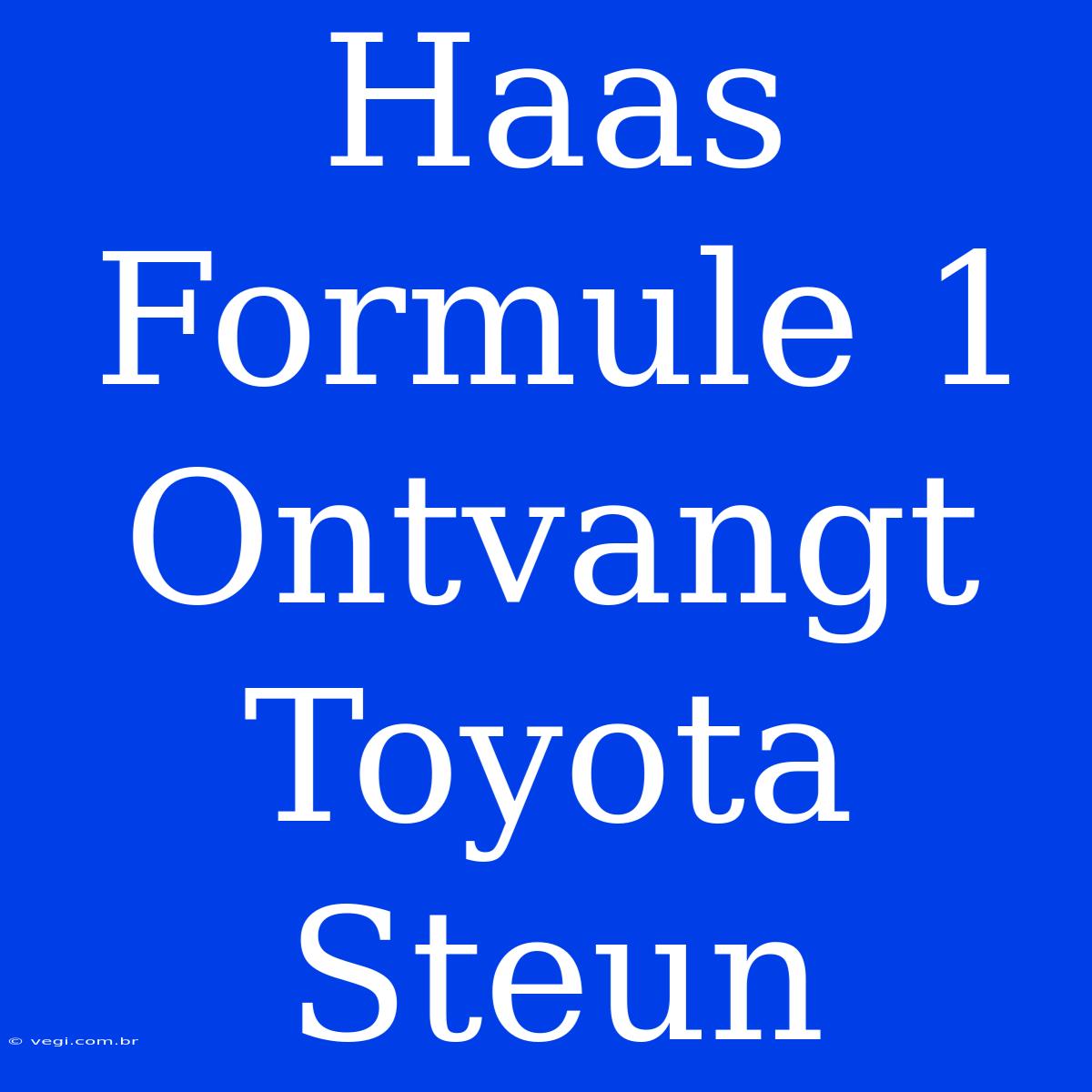 Haas Formule 1 Ontvangt Toyota Steun